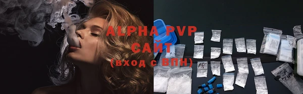винт Богданович