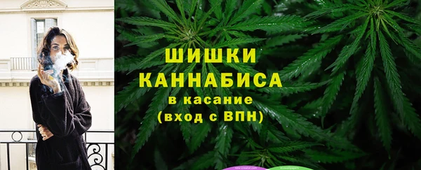 винт Богданович