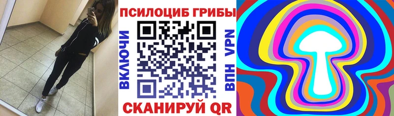 сколько стоит  Топки  Галлюциногенные грибы мицелий 